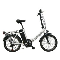 chameleon fdxl electric bike