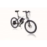 Cyclotricity Stealth 500w 9Ah Electric E-Bike